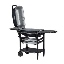 PK Grills 22 In. Original PK Aaron Franklin Charcoal Grill And Smoker Black 18 PK Grills 22 In. Original PK Aaron Franklin Charcoal Grill And Smoker Black -The Grill Spot 07bdd85a 744a 48c7 bd96 a48b7e5a8023