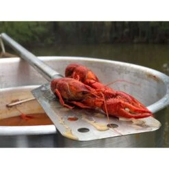 Bayou Classic Stainless Steel Silver Longarm Stir Paddle 1 Pc -The Grill Spot b1a5b018 b380 4e34 8fb7 adced88b37e1