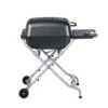 PK Grills 22 In. PK-TX Charcoal Grill And Smoker Graphite